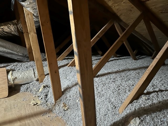 Blown In Celbar Attic